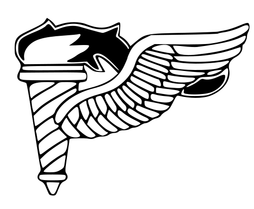 Army Design 43