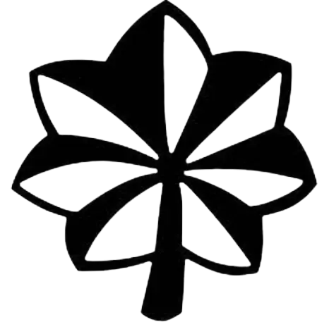 Army Design 49
