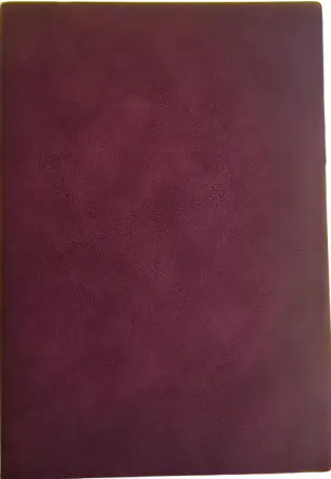 Red Notebook